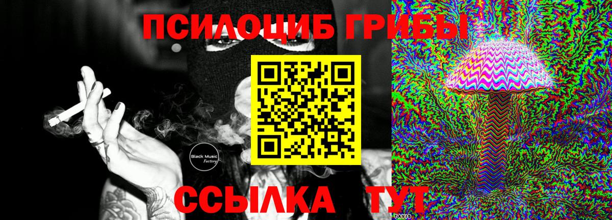 Галлюциногенные грибы мицелий Великие Луки